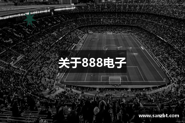 关于888电子